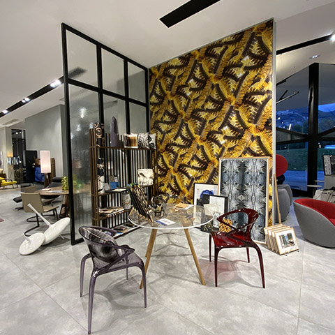 portfolio local_professionnel